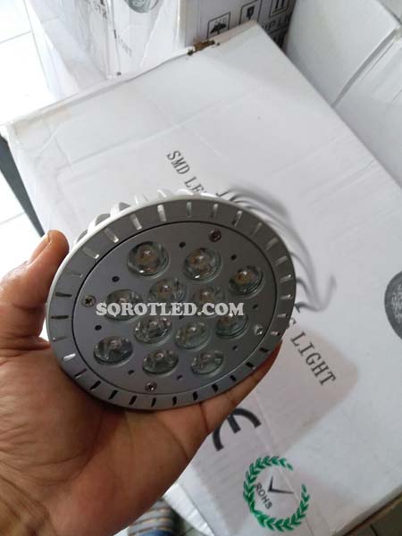 Lampu PAR30 12x1watt Spot LED White Warmwhite